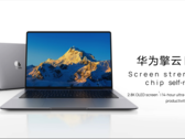 El Qingyun L420z en color gris espacial