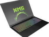 XMG está haciendo lo correcto al anunciar el vataje de sus opciones de GPU GeForce RTX 30 (Fuente: Bestware.com)