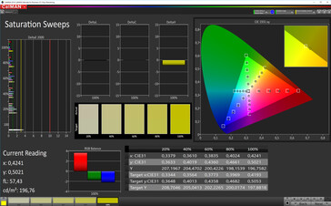 CalMAN: Saturación de color - espacio de color objetivo sRGB, perfil de color estándar