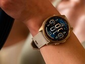 Los usuarios del smartwatch Garmin Fenix 8 AMOLED (en la imagen) han señalado un problema de brillo. (Fuente de la imagen: Garmin)