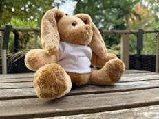 Apple iPhone 17 Pro: Foto de muestra