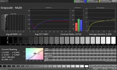 Escala de grises CalMAN