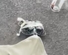 El DJI Neo 2 sometido a pruebas públicas en primavera. (Fuente de la imagen: Igor Bogdanov - editado)