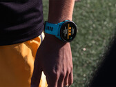 Garmin ha retomado su programa beta Forerunner tras una breve pausa para resolver los errores que provocaban bloqueos del sistema en una compilación reciente. (Fuente de la imagen: Garmin)