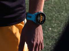 Garmin ha retomado su programa beta Forerunner tras una breve pausa para resolver los errores que provocaban bloqueos del sistema en una compilación reciente. (Fuente de la imagen: Garmin)