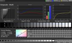 CalMAN Escala de grises