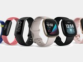 Todos los dispositivos actuales de Fitbit, excepto el Ace 3, son ahora compatibles con la gestión del estrés. (Fuente de la imagen: Fitbit)