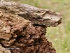 400 mm