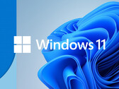 Microsoft y los fabricantes de SSD aún no han verificado el problema (Fuente de la imagen: Microsoft)