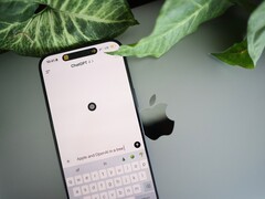 Un smartphone con la aplicación ChatGPT abierta, apoyado sobre un ordenador portátil junto a las hojas de una planta