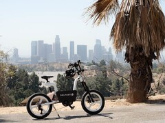 La edición estadounidense de la e-bike Delfast California tiene un motor Bafang con hasta 160 Nm de par. (Fuente de la imagen: Delfast)