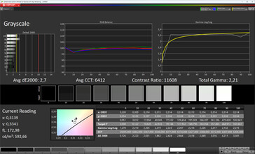 Visualización externa: escala de grises (modo de color: normal, temperatura de color: estándar, espacio de color de destino: sRGB)