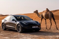 El Model 3 de Tesla es actualmente el vehículo más barato del fabricante, con un precio de 37.940 dólares tras los recientes descuentos. (Fuente de la imagen: Tesla)