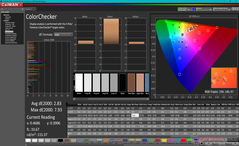 ColorChecker después de la calibración (contra AdobeRGB)