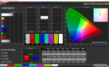 CalMAN: Espacio de color - contraste estándar, espacio de color de destino sRGB