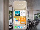 Dispositivos como el P50 Pro han recibido varias novedades con la última actualización del sistema operativo de Huawei. (Fuente de la imagen: Huawei)