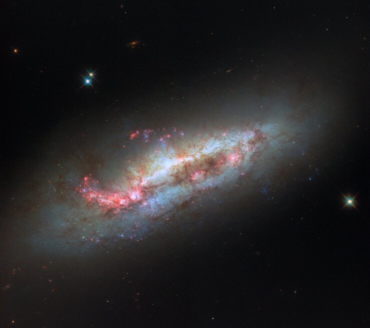 Imagen del Hubble de NGC 1151 (Fuente de la imagen: ESA/Hubble, NASA y D. Thilker)