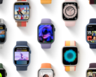 Apple ha desplegado la cuarta gran revisión de watchOS 8. (Fuente de la imagen: Apple)