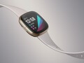 El Fitbit Sense podría ser el último smartwatch insignia de Fitbit con Fitbit OS. (Fuente de la imagen: Fitbit)