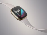 El Fitbit Sense podría ser el último smartwatch insignia de Fitbit con Fitbit OS. (Fuente de la imagen: Fitbit)