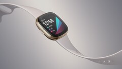 El Fitbit Sense podría ser el último smartwatch insignia de Fitbit con Fitbit OS. (Fuente de la imagen: Fitbit)