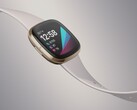 El Fitbit Sense podría ser el último smartwatch insignia de Fitbit con Fitbit OS. (Fuente de la imagen: Fitbit)