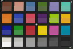 ColorChecker: el color del objetivo se muestra en la mitad inferior de cada campo.