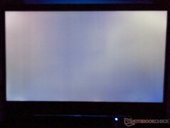 Acer Predator Triton 300 - sangrado de la pantalla