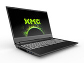 El XMG APEX 15 M21 tiene muchos puertos, incluido el HDMI 2.1. (Fuente de la imagen: XMG)
