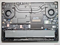 Disposición interna