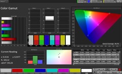 Gama de colores CalMAN sRGB