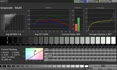CalMAN Escala de grises
