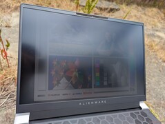 Al aire libre bajo la luz del sol