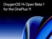 OnePlus ya ofrece Android 14 en versión beta para el OnePlus 11. (Fuente de la imagen: OnePlus)