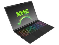 Schenker XMG Core 15, unidad de prueba proporcionada por bestware.com