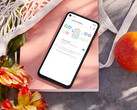 La actualización que alivia la batería ya está instalada a la fuerza en los Pixel 4a restantes. En la imagen: el teléfono. (Fuente de la imagen: Google)