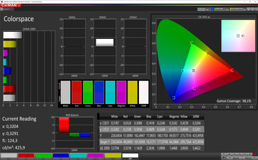 Espacio de color (perfil: normal, balance de blancos: estándar, espacio de color de destino: sRGB)