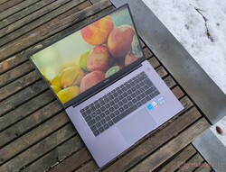 En revisión: Huawei MateBook D 15 Intel (2021), proporcionado por Huawei Alemania.