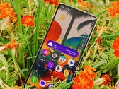 Reseña del Samsung Galaxy Z Flip 8