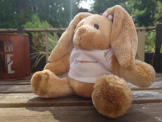 Sony Xperia 1 VII: Foto de muestra