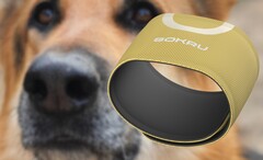 El sensor portátil Sokru, inspirado en la nariz de los perros, detecta compuestos orgánicos volátiles. (Fuente de la imagen: Lakka/Unsplash - editado)