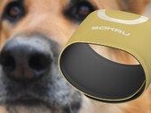 El sensor portátil Sokru, inspirado en la nariz de los perros, detecta compuestos orgánicos volátiles. (Fuente de la imagen: Lakka/Unsplash - editado)