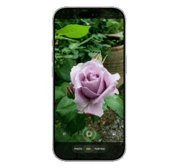 Siri se incorporará por primera vez a la aplicación Cámara, integrando la inteligencia visual para identificar objetos a través de servicios externos de IA como Google y ChatGPT, según la filtración.