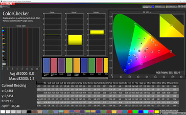 CalMAN: Precisión de color - Espacio de color de destino DCI P3, ajustes de color personalizados