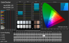 CalMAN ColorChecker (calibrado)