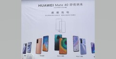 Este puede ser el primer bromista de Mate 40. (Fuente: WinFuture)