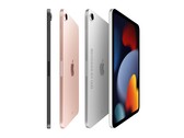 Estos renders conceptuales visualizan el iPad mini rediseñado con una pantalla de 8,3 pulgadas y biseles más estrechos (Imagen: Ian Zelbo)