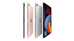 Estos renders conceptuales visualizan el iPad mini rediseñado con una pantalla de 8,3 pulgadas y biseles más estrechos (Imagen: Ian Zelbo)