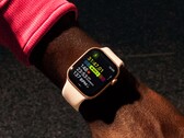 Es poco probable que la duración de la batería del Apple Watch Series 11 sea mucho mayor que la del Series 10. (Fuente de la imagen: Apple)