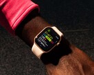 Es poco probable que la duración de la batería del Apple Watch Series 11 sea mucho mayor que la del Series 10. (Fuente de la imagen: Apple)